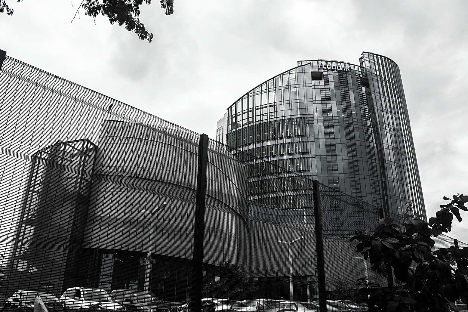 Curtain Glass Building